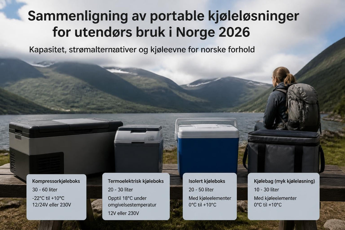Claes Ohlson Kjølebag: Alternativer og Valgmuligheter