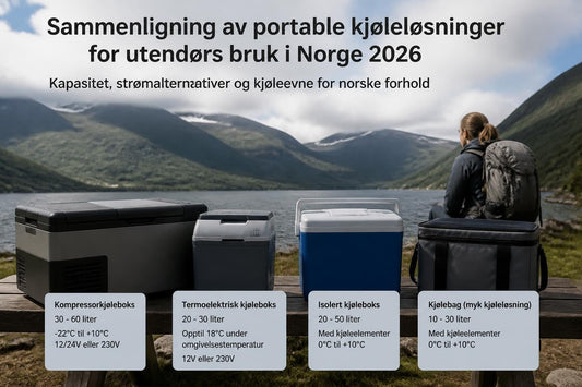 Claes Ohlson Kjølebag: Alternativer og Valgmuligheter