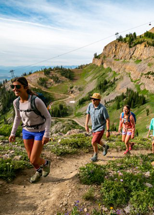 Easy mountain hikes