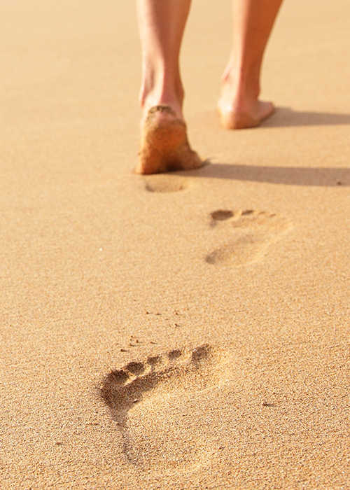 Footprint